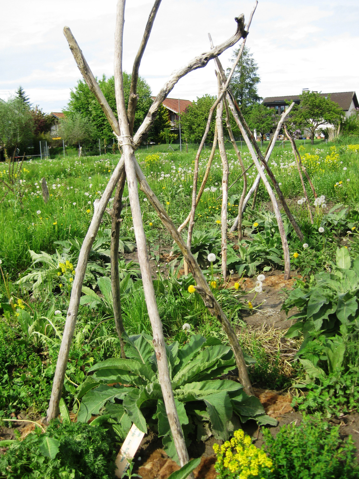 humusgarten
